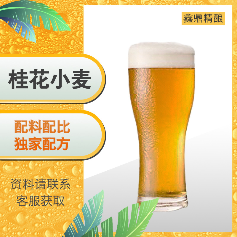 桂花小麥