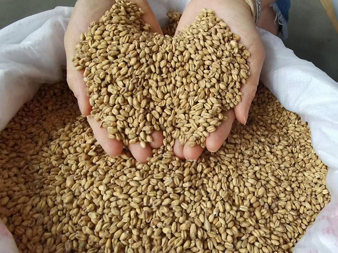 釀酒原料