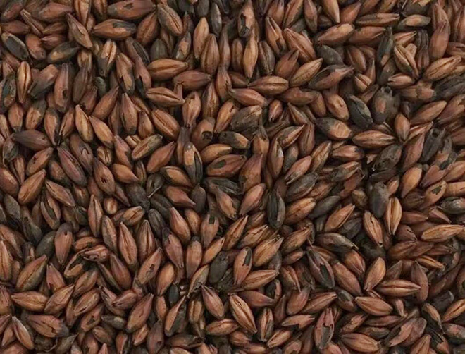 釀酒原料